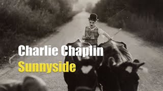 Charlie Chaplin misplaces a herd of cattle  Clip from Sunnyside 1919 [upl. by Lib19]