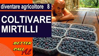 Diventare agricoltore  episodio 8  coltivare mirtilli [upl. by Gray]