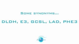 Dihydrolipoyl dehydrogenase mitochondrial recombinant protein [upl. by Tecu908]