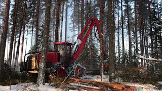 NEW fuel efficient Nisula N6 forest thinning harvester in Finnish winter [upl. by Derwon]