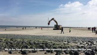 BaumMaßnahmen auf Wangerooge [upl. by Aid693]