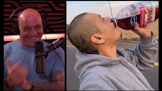 Joe Rogan Experience Clip about Doggface208 On Skateboard Singing Along Fleetwood Mac Viral TikTok [upl. by Ymot]