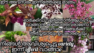 dendrobium varieties wholesale price phelanopsis comboCattleya orchidoncidium one day offer [upl. by Ayik529]