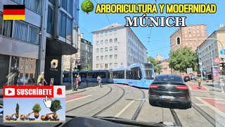 🇩🇪🌳ARBORICULTURA Y MODERNIDAD😉💪MÚNICH [upl. by Enej]