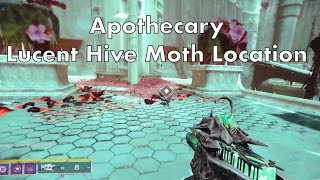 Apothecary Lucent Hive Moth LocationDestiny 2 [upl. by Aeki883]