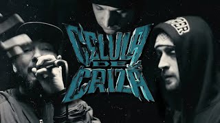 CELULA DE CRIZĂ  Cântece Pentru Tineret Live Session [upl. by Azirb155]