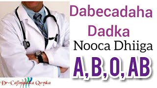 Daawo Noocyada Dhiiga Iyo Dabeecadaha Dadka [upl. by Alric845]