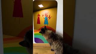 Cat reaction to😱🕷️Tío Cabeza de Péndulo shorts😲Skibidi Toilet Song [upl. by Nam]