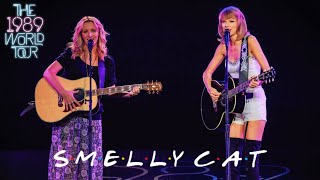 Taylor Swift amp Lisa Kudrow  Smelly Cat Live on The 1989 World Tour [upl. by Irap112]