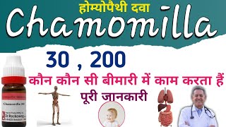 Chamomilla 30  Chamomilla 200  Chamomilla Homoeopathic Medicine uses in Hindi [upl. by Lauraine]