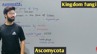 Ascomycota life cycle  Characteristics  Class 11 Biology [upl. by Dnomzed353]