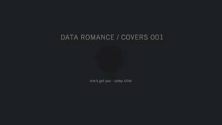 Data Romance  Shes Got You Patsy Cline Cover Audio [upl. by Peppel612]