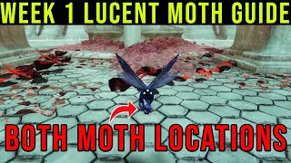 ALL LUCENT MOTH WEEK 1 LOCATIONS  DESTINY 2 [upl. by Lindahl]