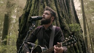 Passenger  Survivors Acoustic Live from Jedediah Smith Redwood State Park OR [upl. by Atwater518]