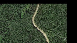 Found Weird Forest Using Google Earth [upl. by Ruddy846]