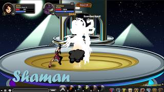 Aqw TIBICENAS SOLO with Archpaladin amp Shaman class [upl. by Ocana]