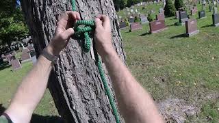 Alpine Butterfly  Arborist Knots [upl. by Zevahc714]