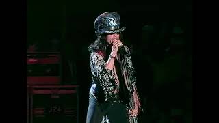 Aerosmith  Woodstock94 HD Remaster [upl. by Olnay563]