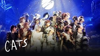 The Jellicle Ball Dance  Cats the Musical [upl. by Heiney]