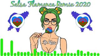 RUMBA Y SALSA FLAMENCA 2020 REMIX DJ KEJIO [upl. by Kirima]