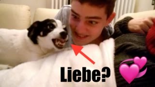 Mein Hund hat mich angegriffen schmerzhaft [upl. by Prober]