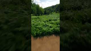 Clent Hills worcestershire nature outdoors [upl. by Esela525]