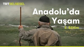 Anadoluda Yaşam  Yayla  TRT Belgesel [upl. by Spatz]