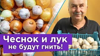 ПОСЛЕ ПРОСУШКИ ЧЕСНОКА И ЛУКА СДЕЛАЙТЕ ТАК чтобы они хранились до нового урожая и не гнили [upl. by Kassie]