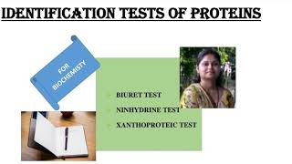 Identification tests for proteinsBiuret testNinhydrin testXanthoproteic testShiv Bhadra Singh [upl. by Enehpets907]