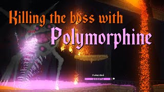 Full Noita Run To Kill The Boss With Polymorphine [upl. by Zeba]