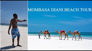 Mombasa City  Diani Beach  Paradise Place to Visit in South Coast Kenya 🇰🇪🏖 [upl. by Aihsiek]