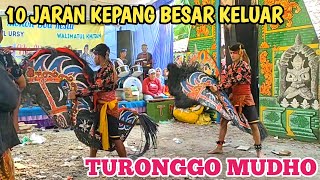 DETIKDETIK JARAN KEPANG KELUAR‼️TURONGGO MUDHO Live di Desa Karangawen Kec Karangawen Kab Demak [upl. by Cheston]