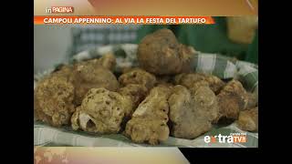 Campoli Appennino 36esima edizione della Festa del Tartufo [upl. by Anyek488]