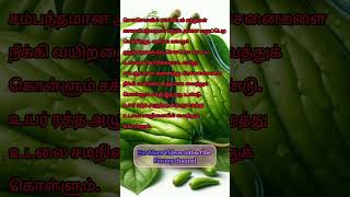 சவ்சவ் sowsow shortsvideo healthydiet [upl. by Birgitta840]