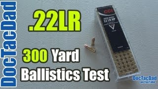 22lr Lethality Revisited  300 Yard Ballistics Test  Clear Ballistics [upl. by Symer]