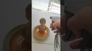 Day 2 of growing chia pet chia pet day2 grow viralshorts [upl. by Antipus]