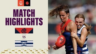 Melbourne v Geelong Highlights  2023 NAB AFLW Finals [upl. by Corly]