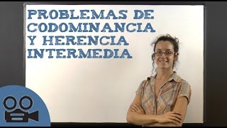 Problemas de codominancia y herencia intermedia [upl. by Crescentia]