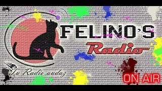 Ejemplo Cortinillas Radio  Felinos Radio [upl. by Maurizia]