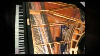 1950s Bluthner Baby Grand Piano  Restored Bluthner Baby Grand Piano [upl. by Bertila571]