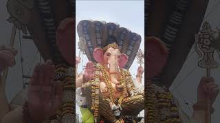 Ganesh Maharaj Shobha Yathra  ytshorts shorts [upl. by Enelhtac438]