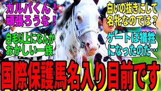 【競馬の反応集】「私またなんかやっちゃいました？」に対する視聴者の反応集 [upl. by Notsecnirp740]