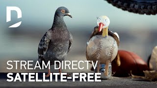 DIRECTV  For The Birds  Girlfriend 30 [upl. by Elnore]