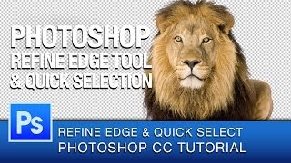 How to Use REFINE EDGE in Adobe Photoshop Improve Your Selections [upl. by Isdnyl]