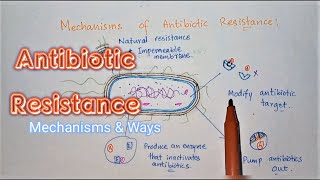 An Overview Of The Antimicrobial Resistance Mechanisms  Antibiotic Drug Resistance  Medico Star [upl. by Attecnoc]