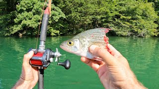 4 Hours of RAW and UNCUT Kayak Catfishing on the Tennessee River  Dragging vs Suspending Cut Bait [upl. by Nnayt406]