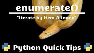 Python Enumerate Function  Python Quick Tips [upl. by Willis339]