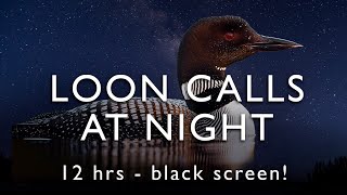 Loon Calls  On the lake at night  12 Hours  BLACK SCREEN [upl. by Jodee]