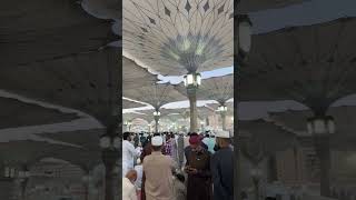 Masjid nabawi live madina live Eid lu fitr 2023 🌙 masjidnabawi [upl. by Naleag]