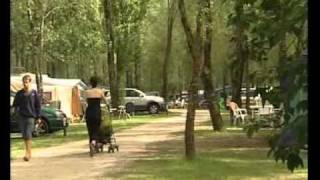 Le camping Les Saules à Cheverny [upl. by Warder476]